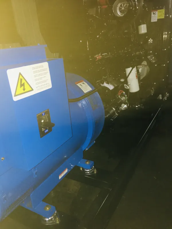Used Cummins 250 kVA Diesel Generator - photograph 04
