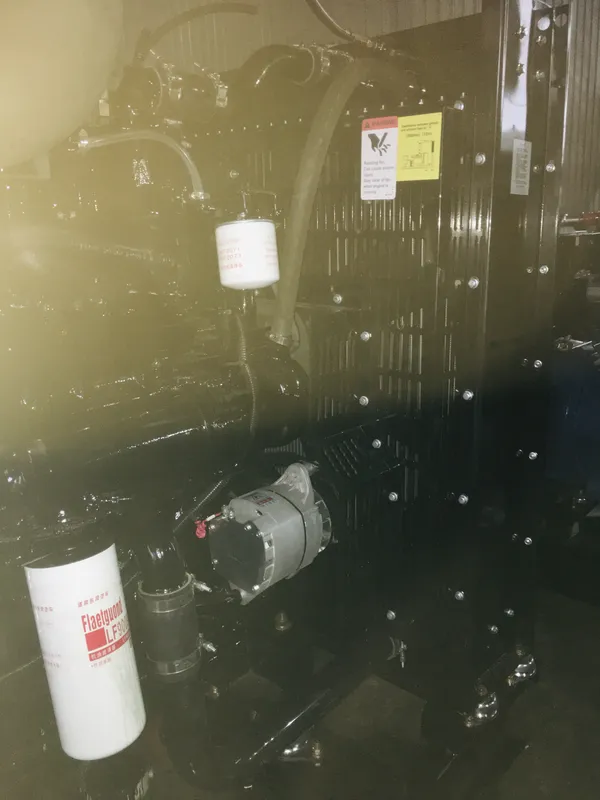 Used Cummins 250 kVA Diesel Generator - photograph 07