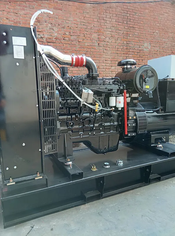 Used Cummins 250 kVA Diesel Generator - photograph 05