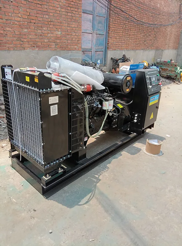 Used Cummins 250 kVA Diesel Generator - photograph 08