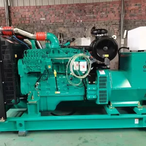 Used Cummins 250 kVA Diesel Generator - photograph 01
