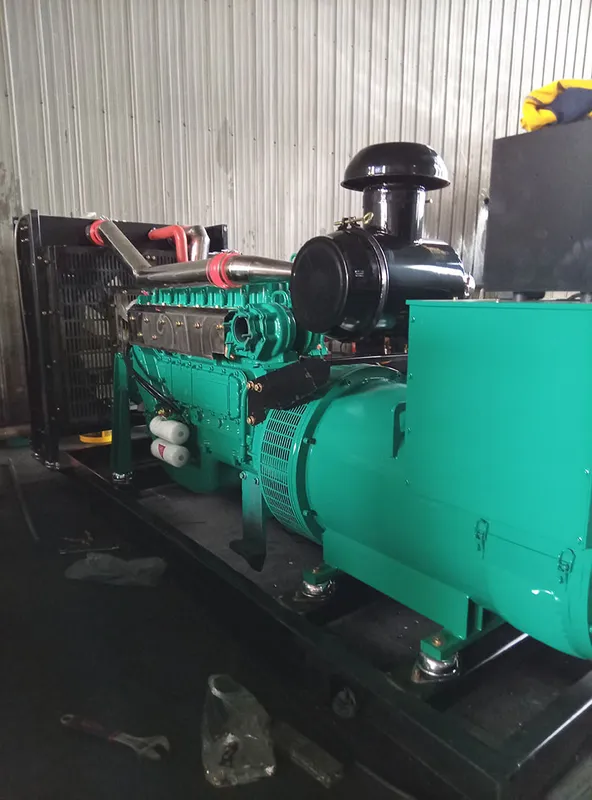 Used Cummins 250 kVA Diesel Generator - photograph 03