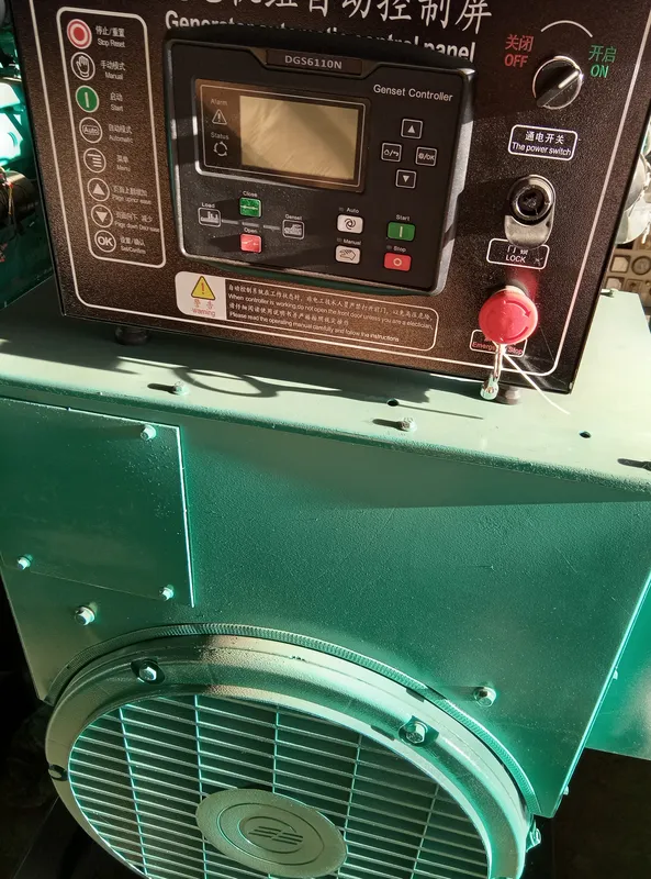 Used Cummins 250 kVA Diesel Generator - photograph 02