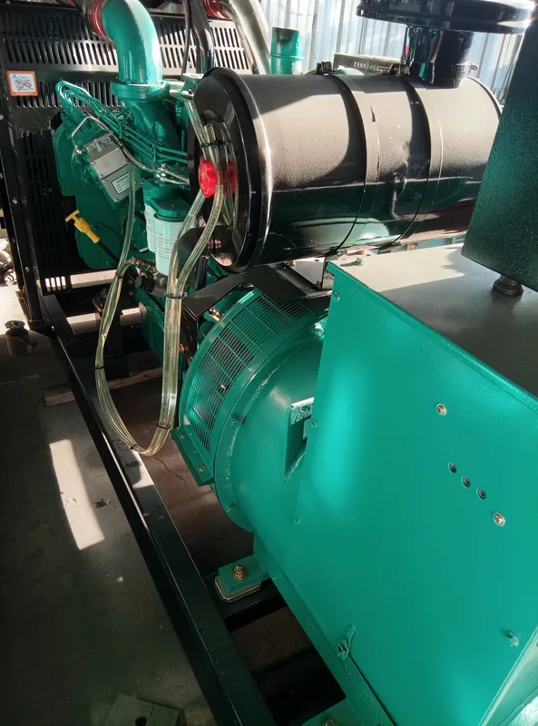 Used Cummins 250 kVA Diesel Generator - photograph 03
