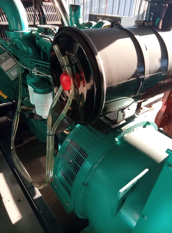 Used Cummins 250 kVA Diesel Generator - photograph 07
