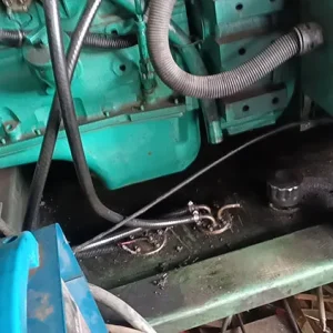 Used Cummins 62.5 kVA Diesel Generator - photograph 01
